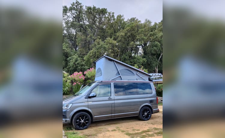 Déesse – VWCalifornia Ocean