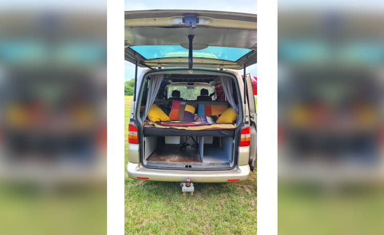 Goldie – Volkswagen T5 2 slaapplaatsen 5 zitplaatsen