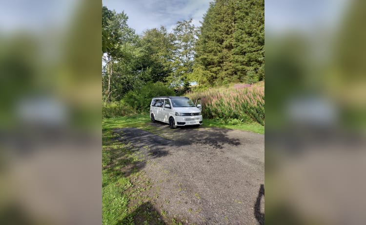 T5.1 t32 140  – 4 berth Volkswagen campervan from 2013