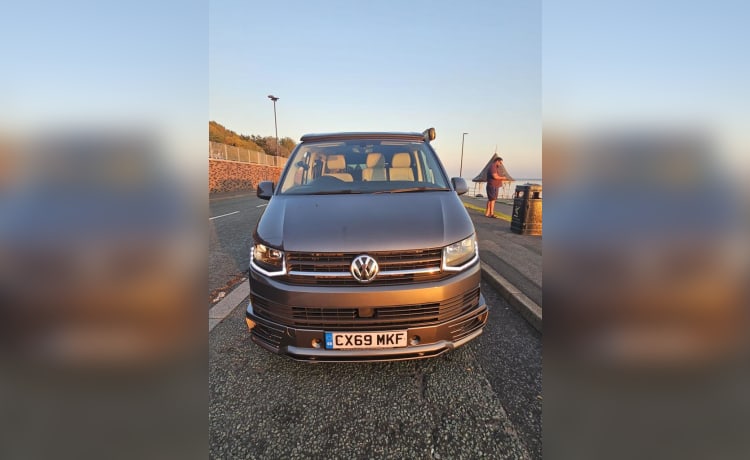 Camper Volkswagen a 4 posti letto del 2019