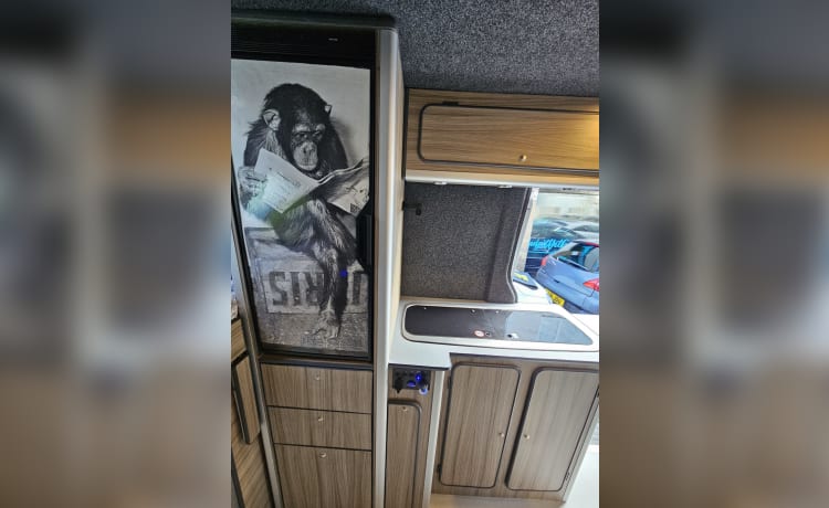 Iris – 4/5 slaapplaatsen Volkswagen crafter campervan 2019