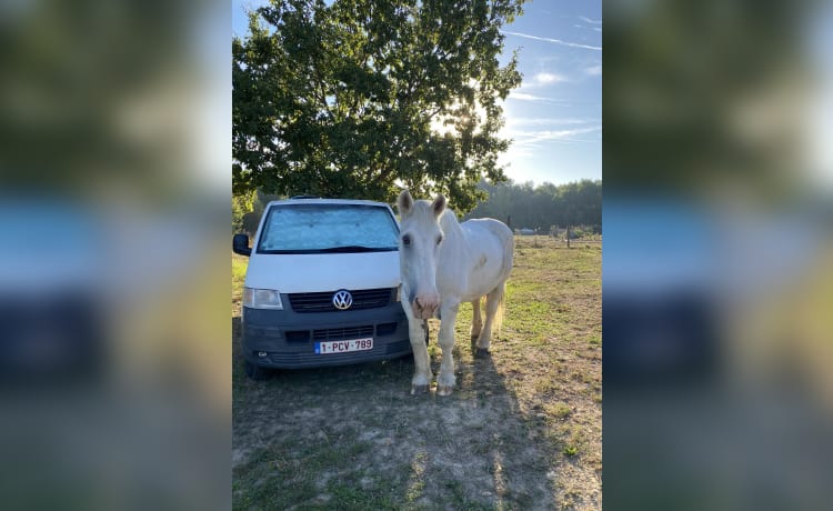 Carlos – 2p Volkswagen campervan uit 2003