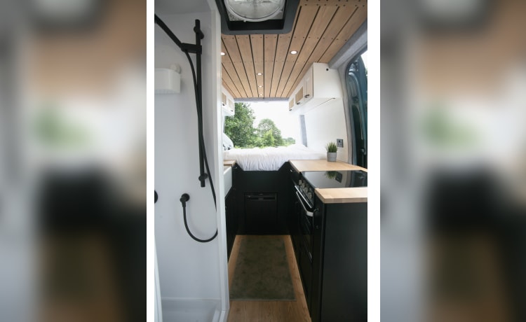 Ian Teal  – Festivalbereiter Campervan mit 2 Schlafplätzen!