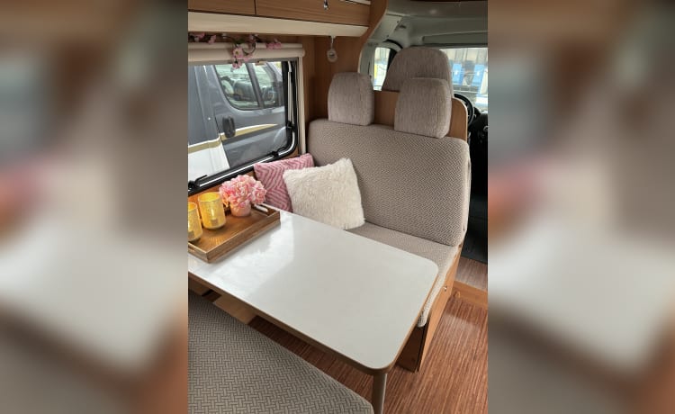 LMC Family Alcove Camper 6 persons