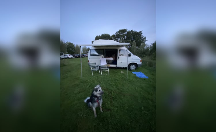 Pietertje – Retro Volkswagen bus uit 1994 2 personen