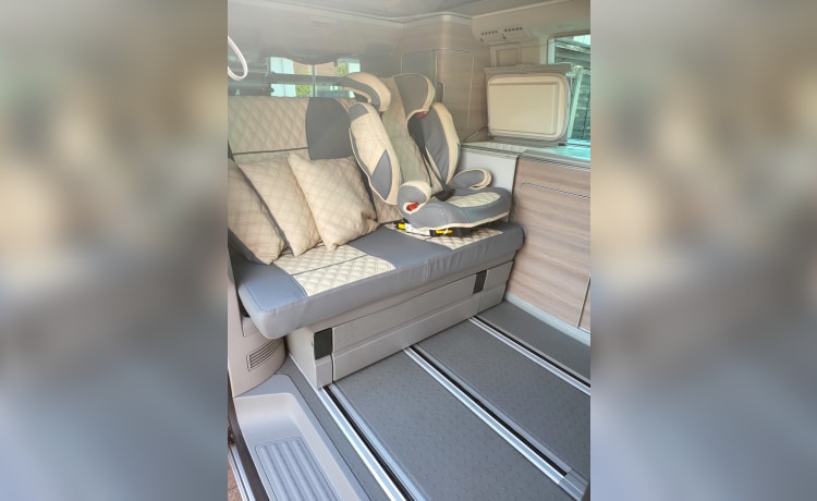 Laya – VW California 4 berth camper van 