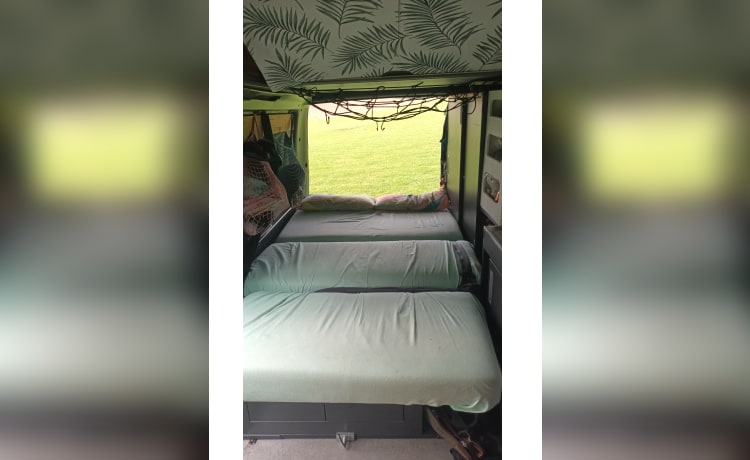 4p Volkswagen campervan met hefdaktent