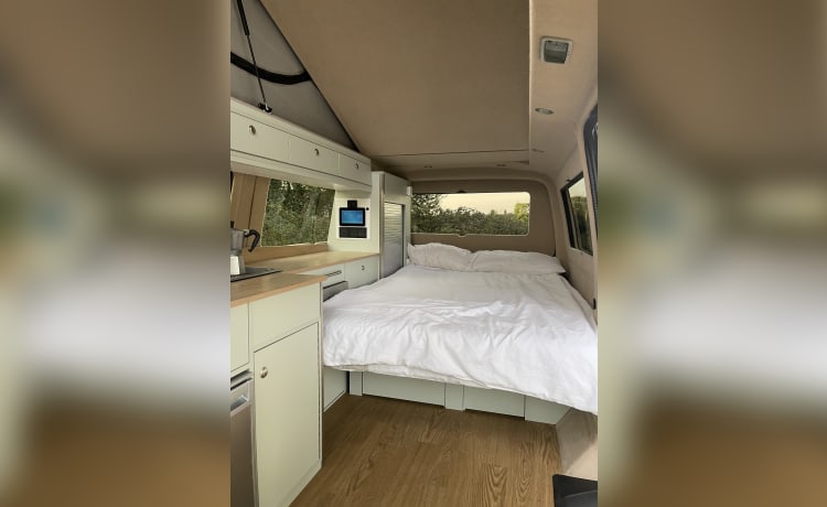 Olli – 2024 Conversion - 4 berth VW campervan from 2017 - equipment included!