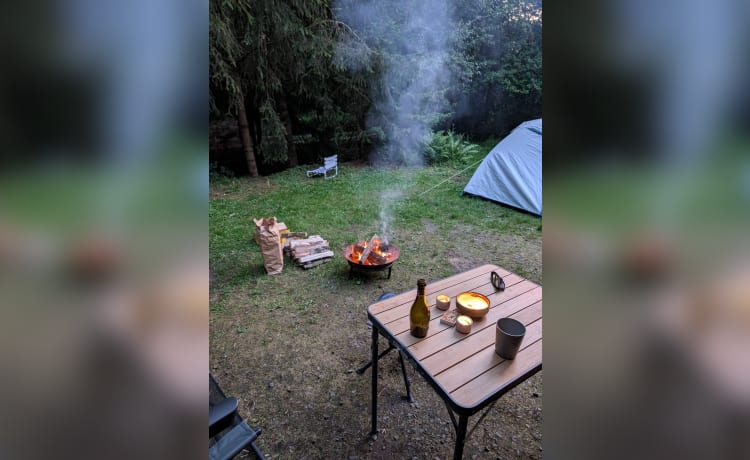 Harry – 5P Camper (BBQ, Airfryer, Dolce Gusto, TV, Koelbox, JBL box, fietsendrager)