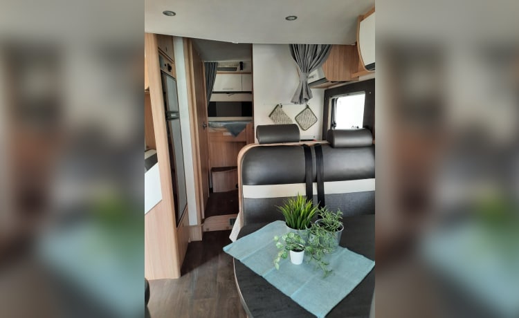 Camper4spain – 4p Sunlight Fiat semi-integrated 2020 Spain, Malaga FLY AND DRIVE