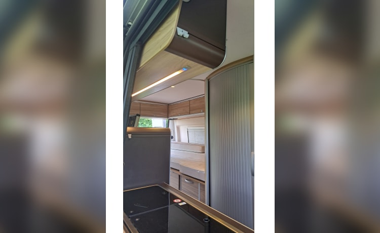 Hymer buscamper 4 persoons