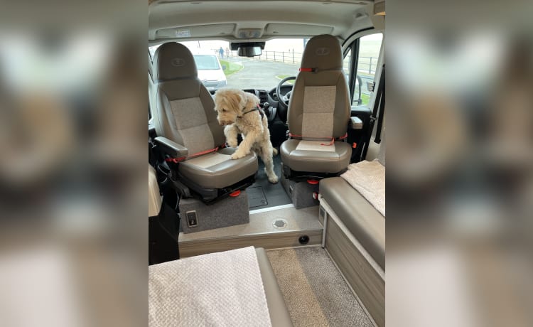 Garuda – 2-persoons Fiat campervan uit 2022