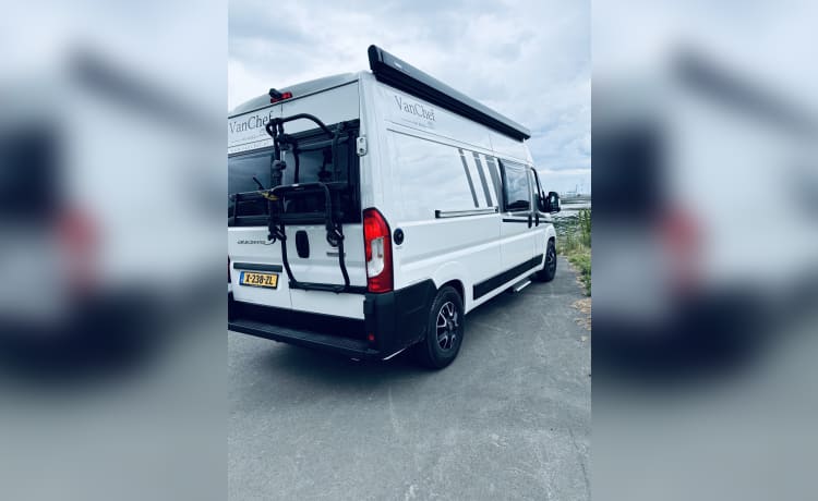 Fiat uit 2024 – Carado camper bus with tilt roof