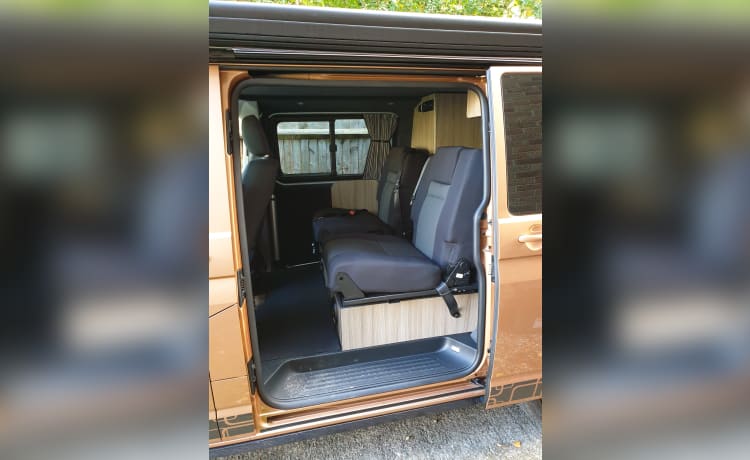 Wander – VW T6.1 Transporter