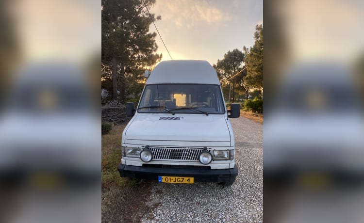 Fritsy – 2p Fiat bus uit 1991