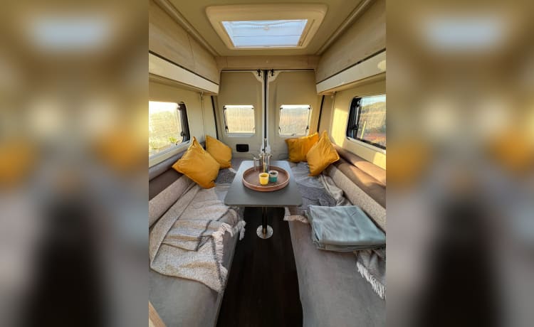 Wee Beastie – 2 Berth Luxury Campervan