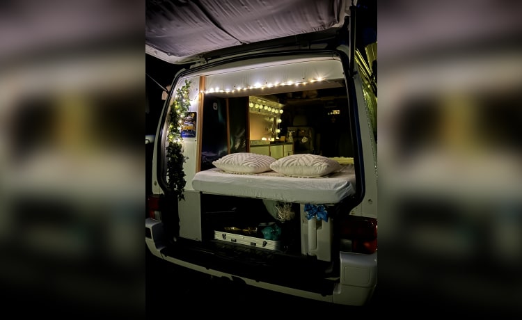 Colin de Camper – Volkswagen T4 California buscamper, top staat, off-grid met extra's