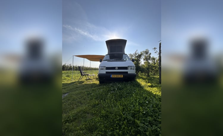 Betty – GoBetty : Camping-car Volkswagen 2p LWB