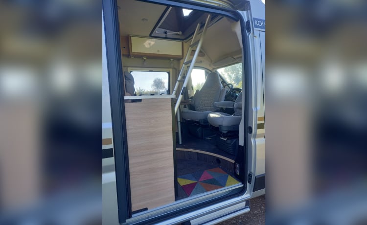 4p camper bus automatic from 2021