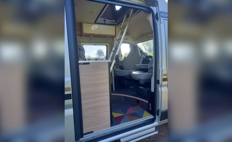 Bus camper 4p automatico dal 2021