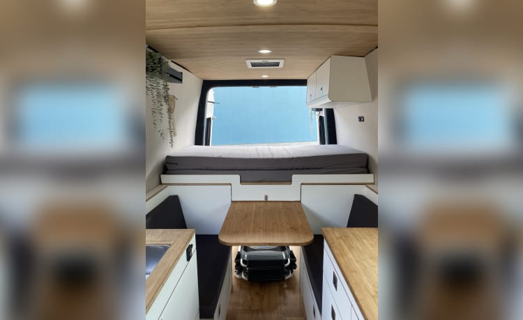 Unique, compact and modern bus camper (self-sufficient)