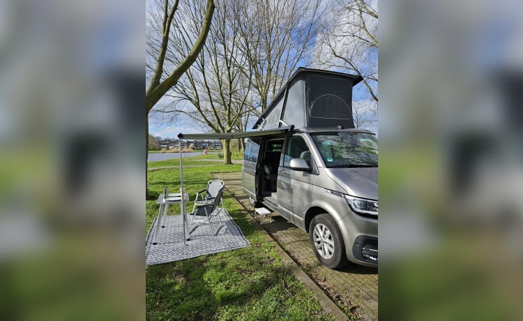 Volkswagen California Ocean 6.1 Wohnmobil aus dem Jahr 2020