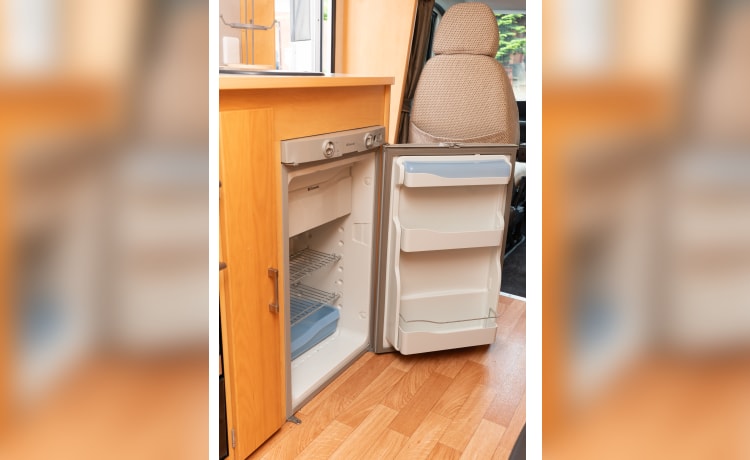 Dianne  – Camper pulito con 2 posti letto 