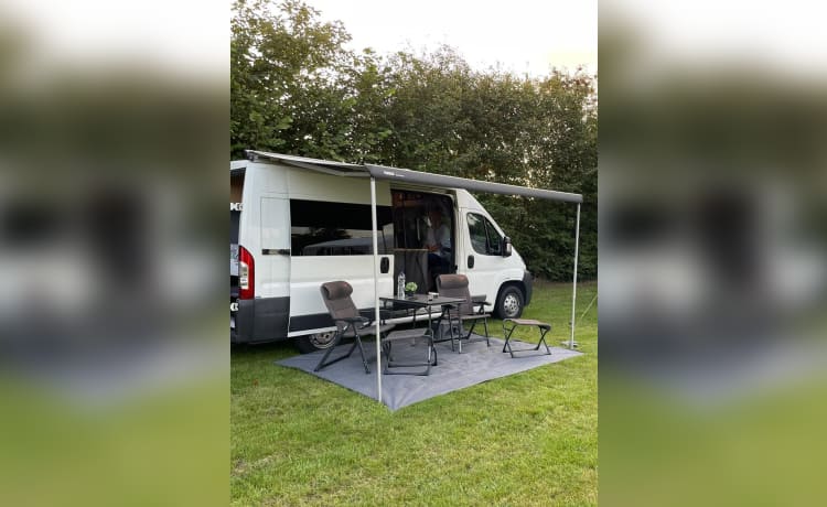 QPO: " Zo wijd de wereld strekt"        " – Reliable and well-maintained bus camper.