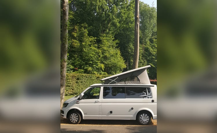 Glamping on wheels! – 2p Westfalia campervan from 2019