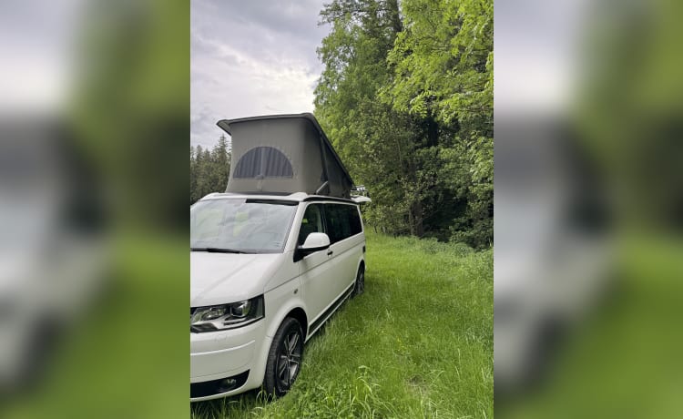 Cali – VW T5 California