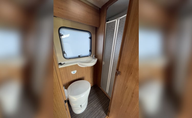 4-persoons Autotrail Tribute, luxe hondvriendelijke camper - Northants/Beds 