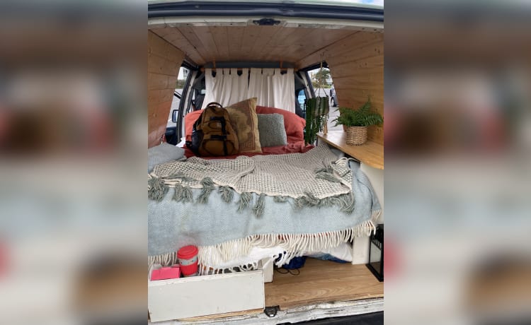 Olive – Fiat-camper met 3 slaapplaatsen uit 2005