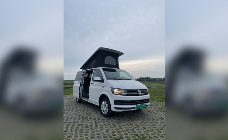 Volkswagen campervan uit 2018 inbouw 2024