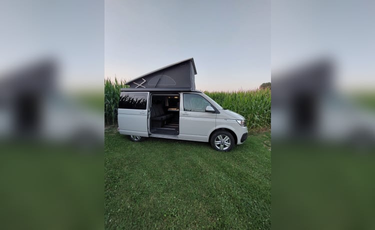 Adventure_van_rent – VW California T6.1 Beach