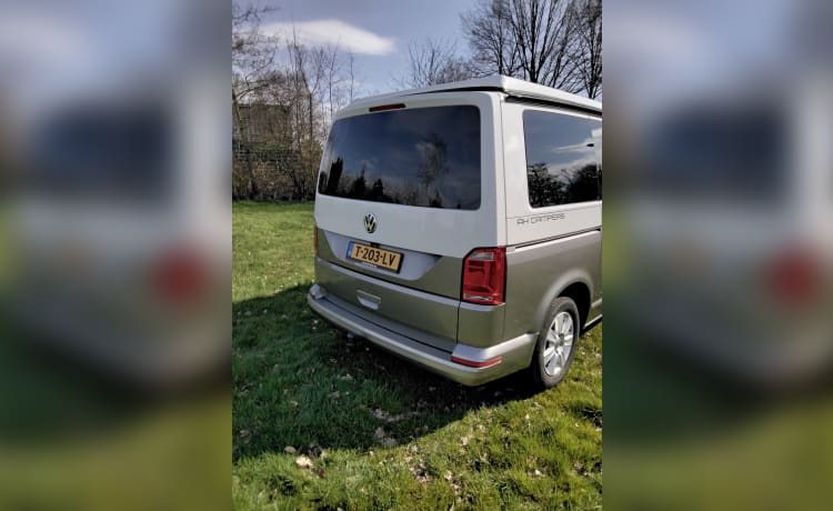 Onze trots – 2p VW Transporter T6 buscamper 2016 met splinternieuwe camperinrichting  