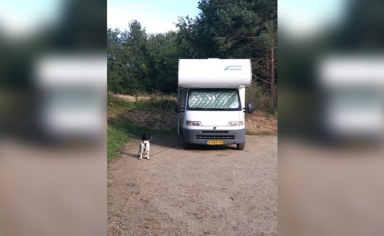 Compacte, gezellige Fiat alkoof camper