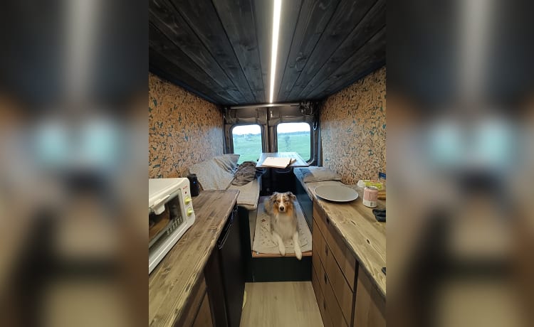 COSY off-grid bus