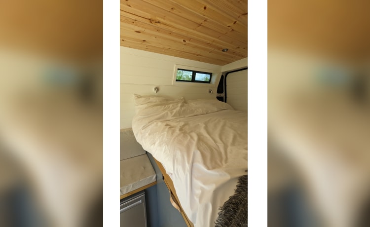 Betty The Boxer – Luxurious 2 Berth Peugot Boxer L3H2