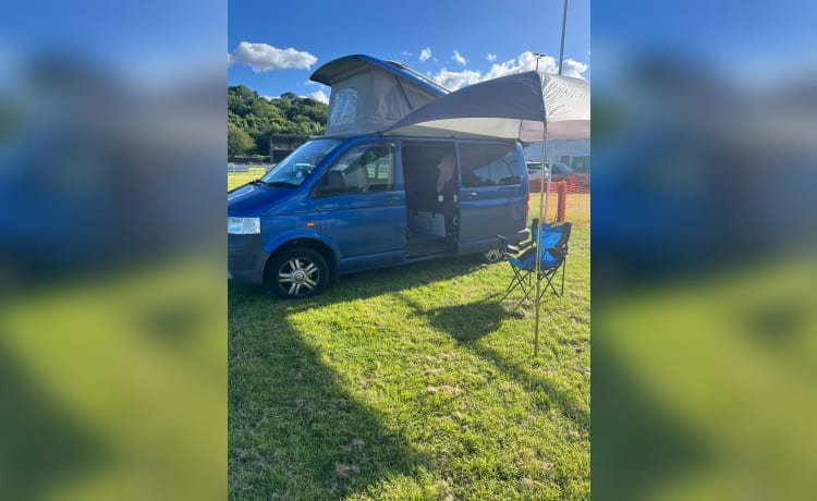 Bruno – North East UK based dog friendly van