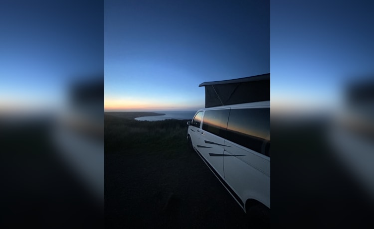 Dave – 4 berth Volkswagen campervan from 2020