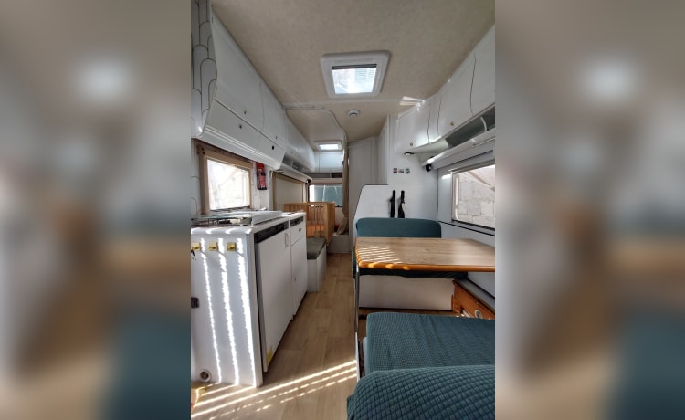 Billy – Dethleffs (Fiat Ducato) Alcove from 1995