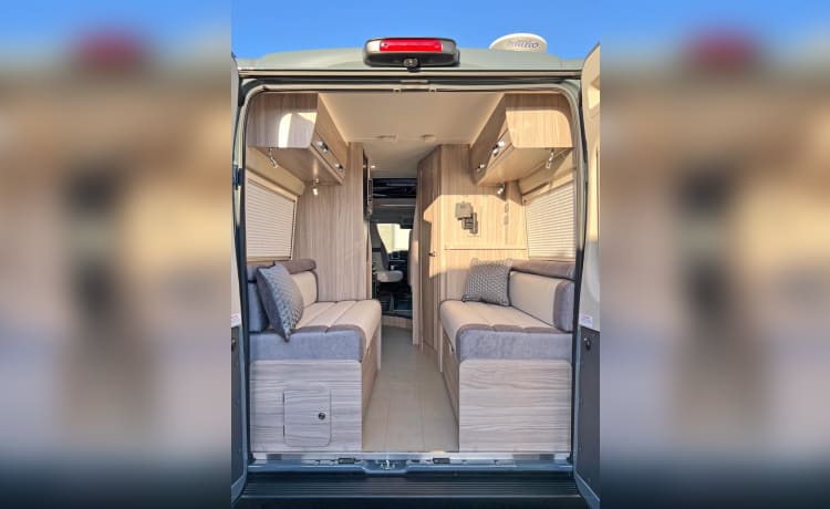 Betty George – Elddis 4-Bett-Campervan mit Automatik, 2024