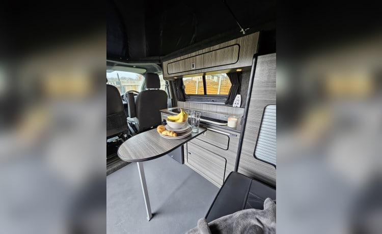 Alberto – Ford-camper met 4 slaapplaatsen uit 2013