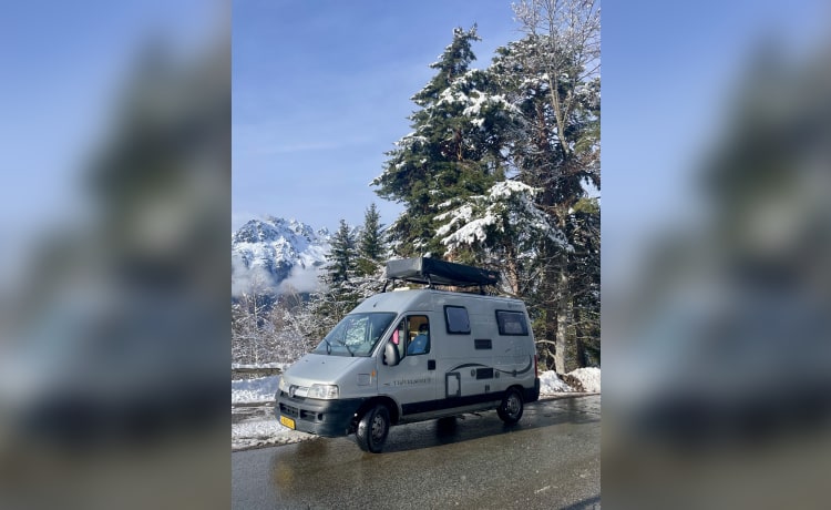 Ilimitado – 5p Peugeot bus uit 2004 met daktent