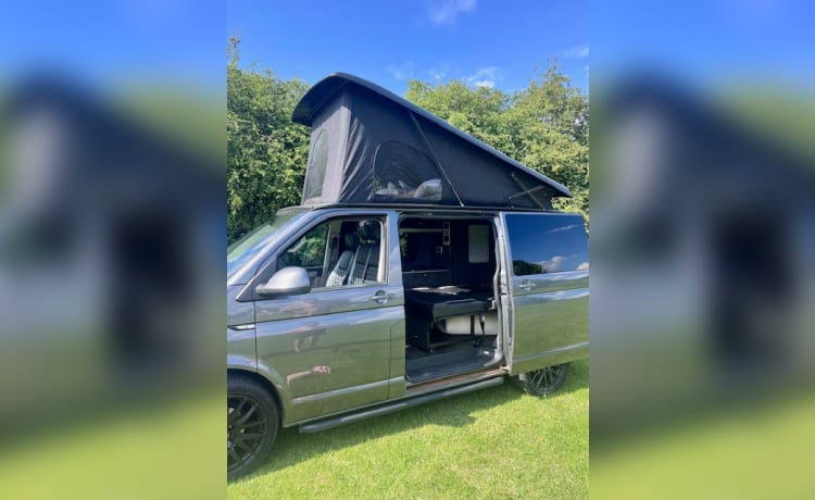 Astral Traveller – Camping-car VW élégant 4 couchettes 2017 