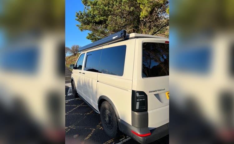 Vw T6 Swamper 2022