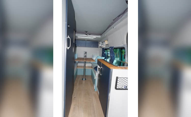 Buddy – Ford Transit Campervan mit 2-3 Schlafplätzen ab 2013