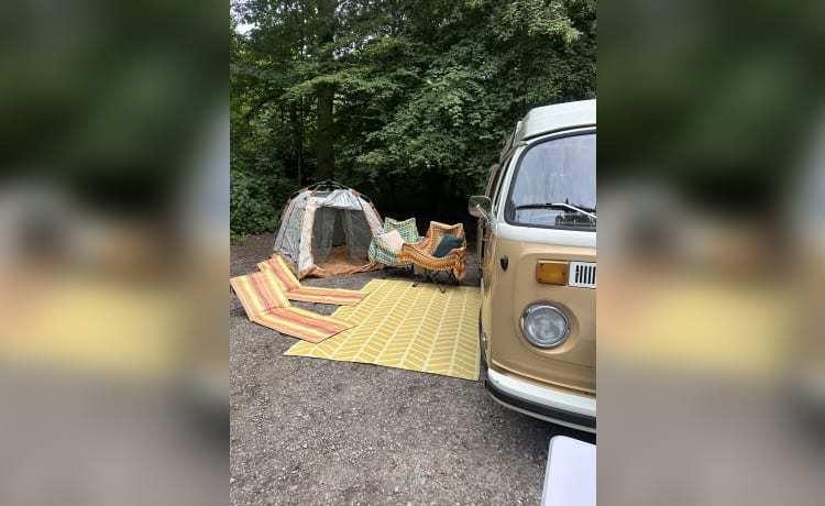 Ned – Modernised, power steering, 4 berth VW T2 with all the extras