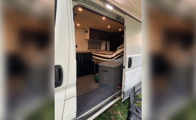 Saf – Fixed double bed ready to adventure Fiat self-build campervan