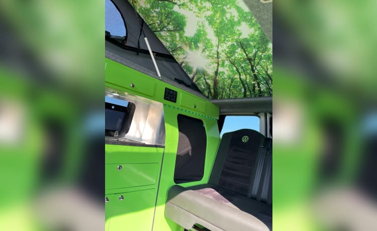 Elsie –  Schlafplatz Volkswagen Campervan ab 2019